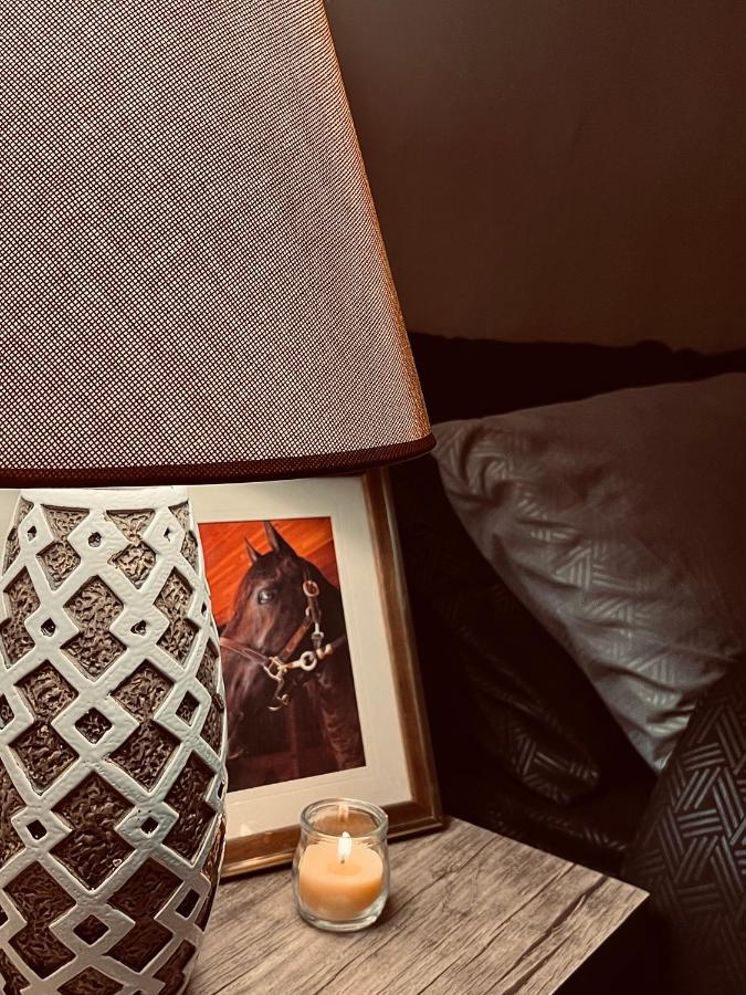 Montana Inn Vádi Músza Kültér fotó