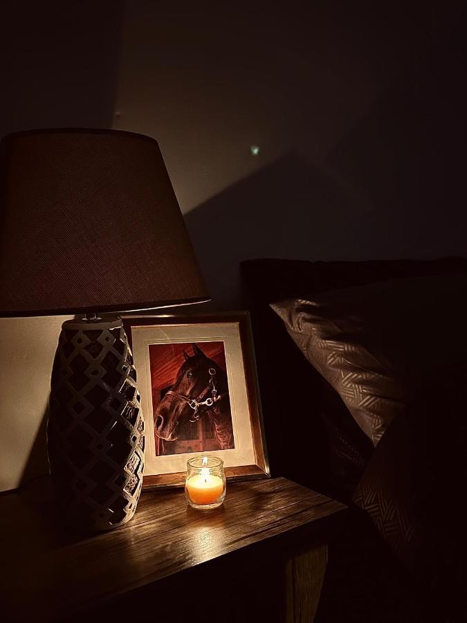 Montana Inn Vádi Músza Kültér fotó